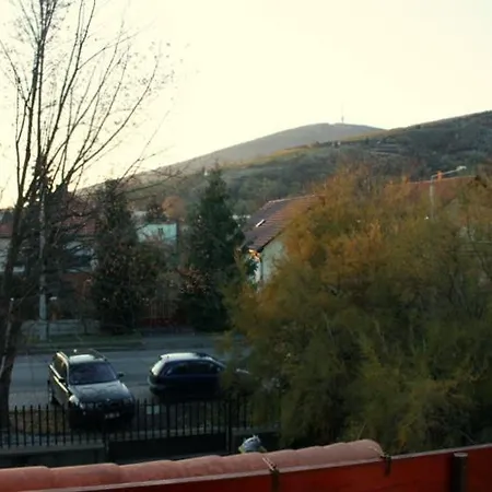 5 Puttonyos Vendeghaz